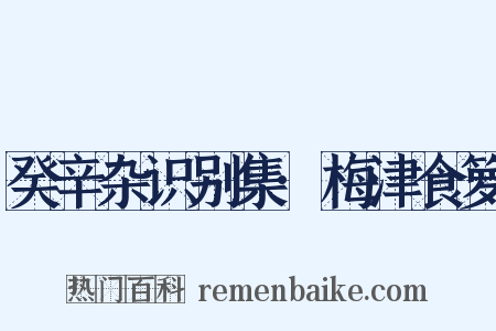 癸辛杂识别集·梅津食箩是什么意思的图片